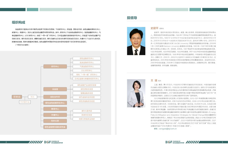 中央财经大学绿色金融国际研究院年报设计案例