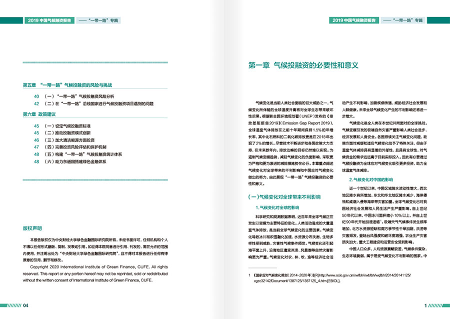 2019中国气候融资报告年报设计案例