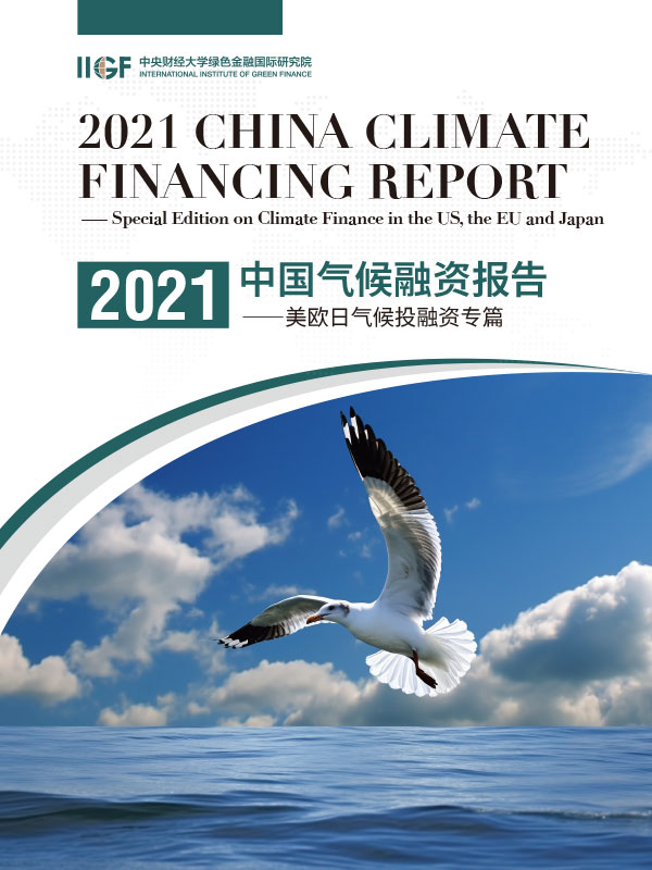 2021中国气候融资报告年报设计案例