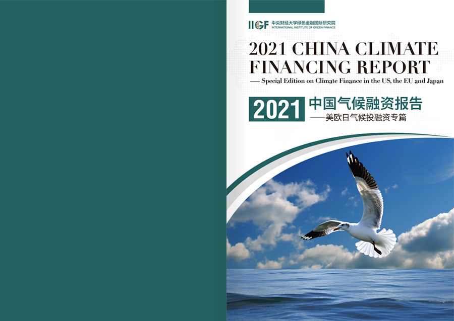2021中国气候融资报告年报设计案例
