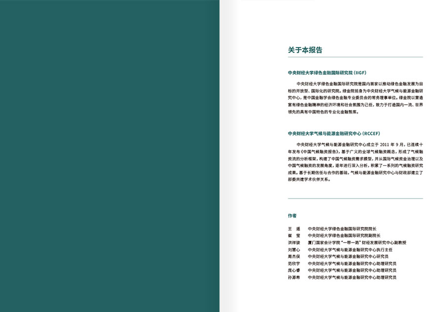 2021中国气候融资报告年报设计案例