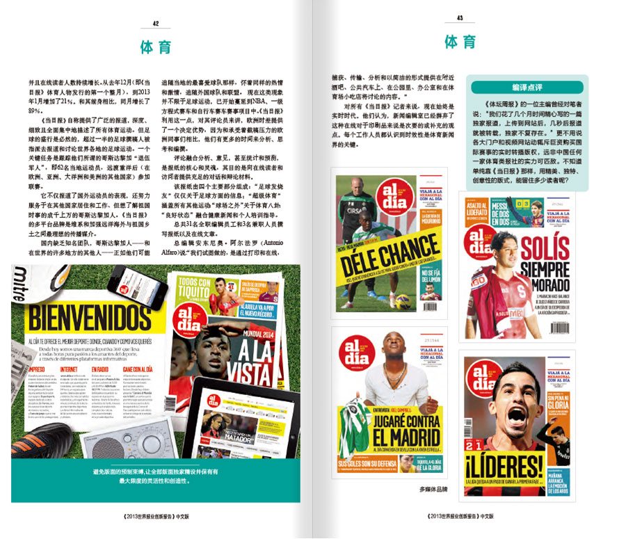 2013世界报业创新报告年报设计案例